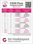 Kecskemét Családi ház 10
