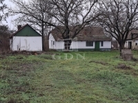 Kecskemét Tanya 6