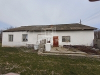 Lajosmizse Tanya 11